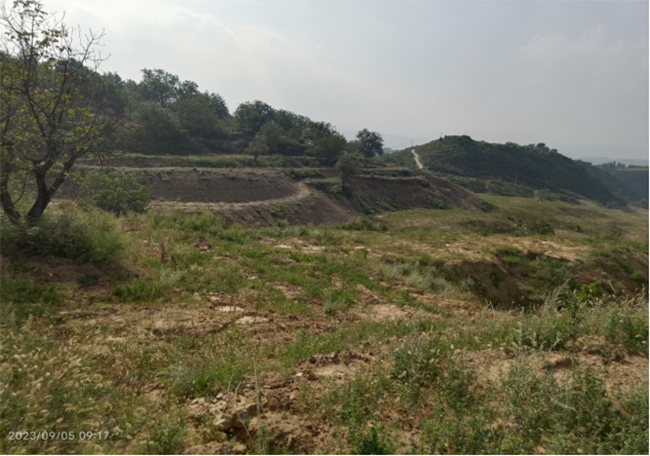 mg4355线路检测中心2021年黄河流域及重点地区历史遗留废弃矿山环境修复治理项目取得阶段性进展